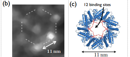 First Self-Assembling Diamond Quantum Devices Unveiled | MIT Technology ...